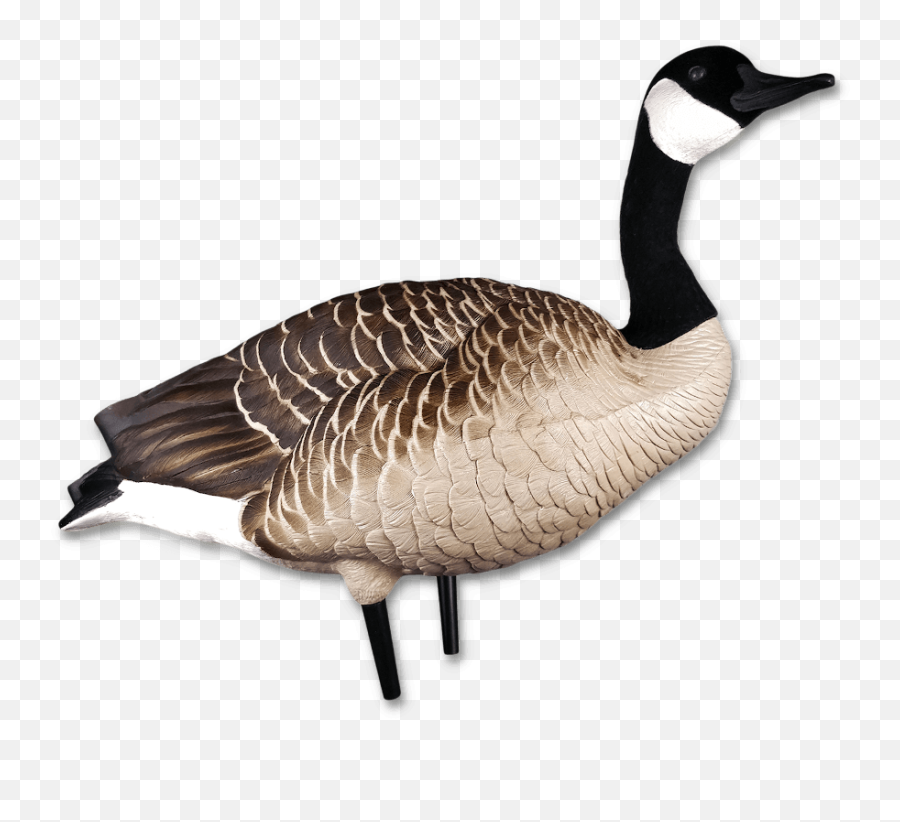 Hunting Arkiv - Page 3 Of 5 Luckyhunter Emoji,Duck Hunting Clipart