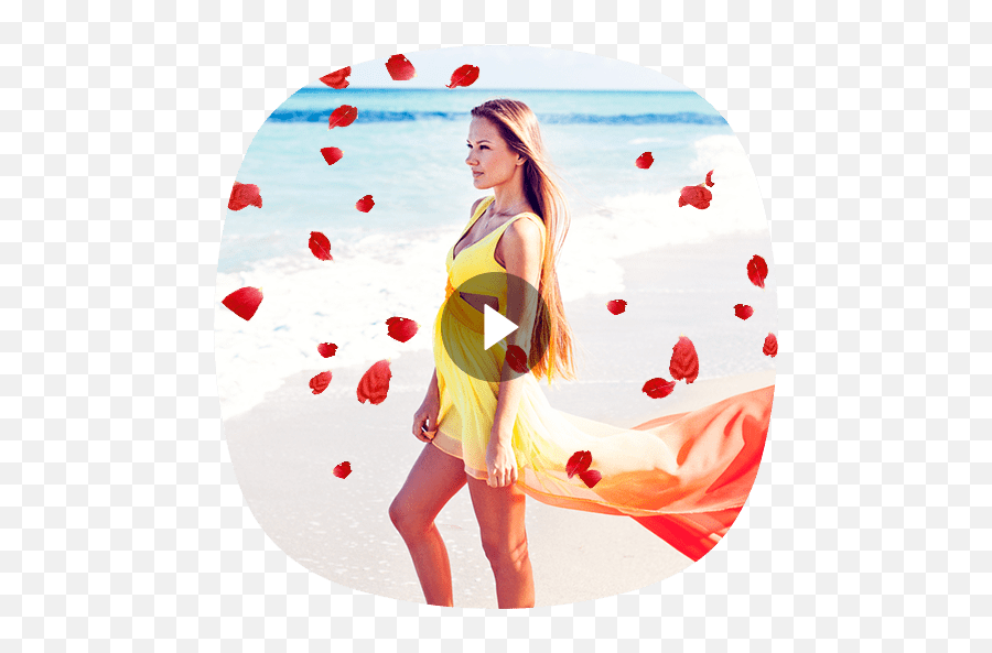 Love Heart Effect Video Maker - Gif Animationamazoncom Emoji,Gif To Animated Png