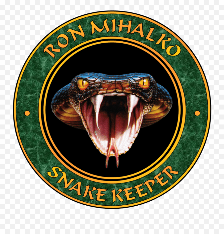 Ball Python Care Sheet - Snake Emoji,Python Logo