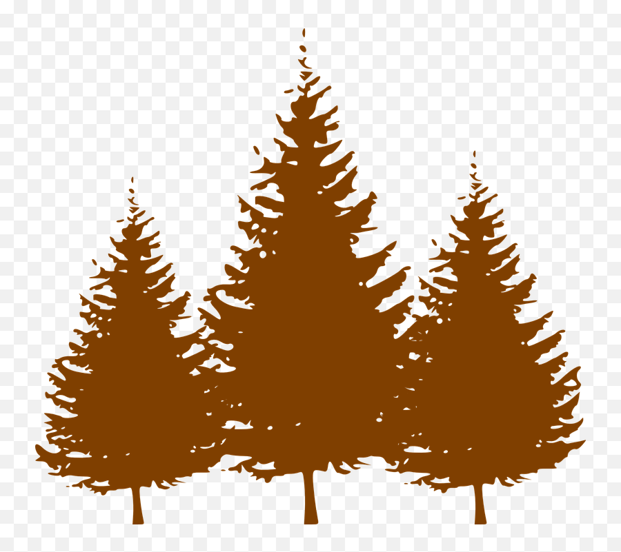 Pine Tree Clipart Group Tree - Clipart Pine Trees Black And Pine Tree Silhouette Brown Emoji,Pine Tree Clipart
