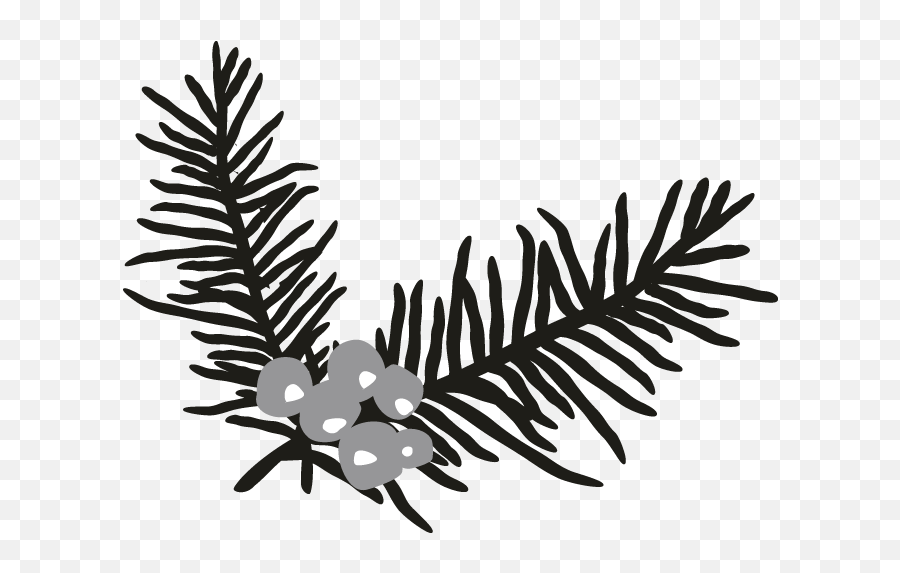 Holly Branch - Sketch Emoji,Holly Clipart Black And White