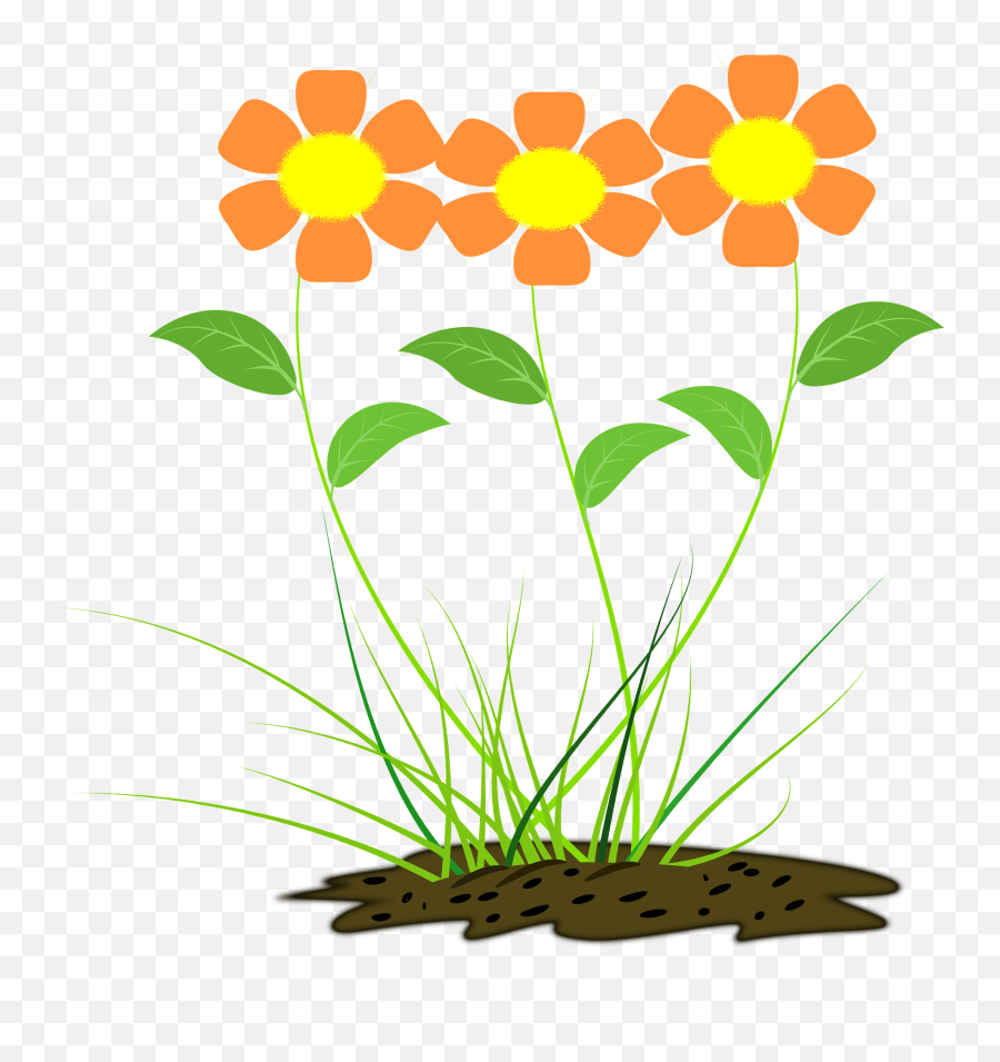 Orange Flowers Clipart Free Download Transparent Png - Orange Flowers Clipart Emoji,Flower Clipart Transparent