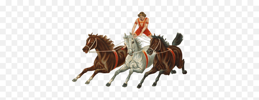 Horse Right Jump Transparent Png - Stickpng Emoji,Horse Jumping Clipart