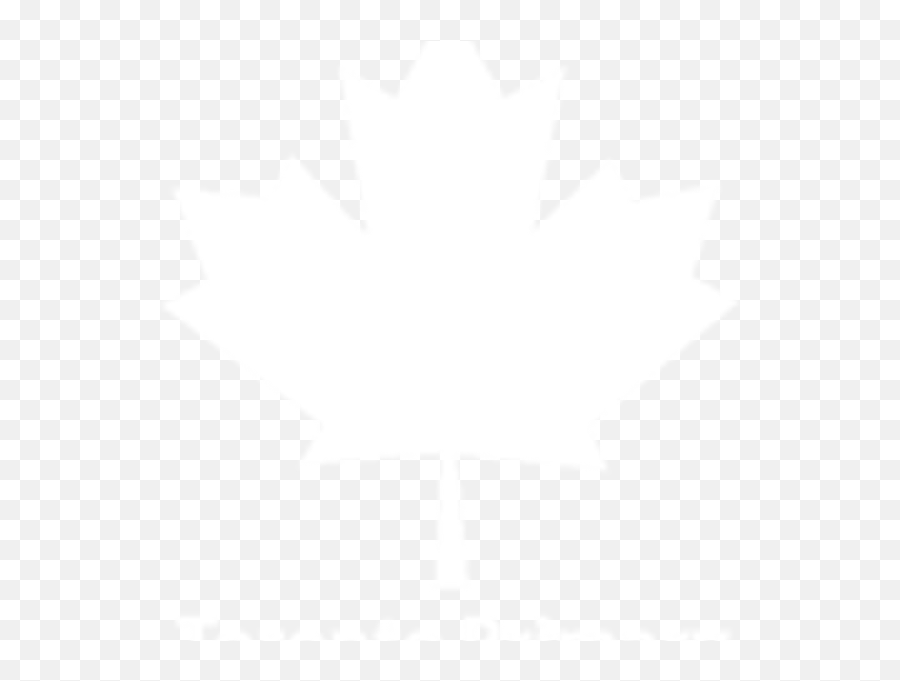 Wl Cross Country Championships 2019 - Toronto Primary School Emoji,Twitter Icon White Transparent