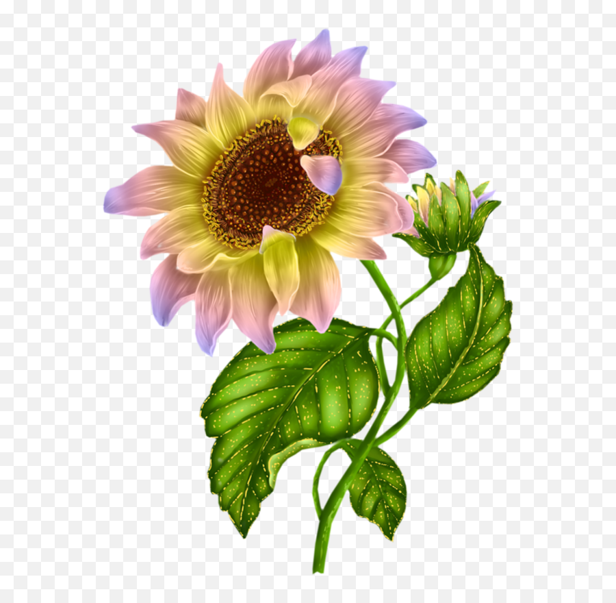 Sunflower Drawing High Resolution Png - High Quality High Resolution Sunflower Emoji,Sunflower Clipart Black And White