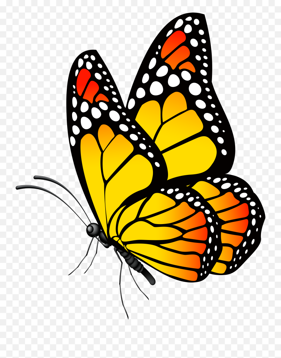 Download Yellow Butterfly Png Clipart Emoji,Butterfly Png
