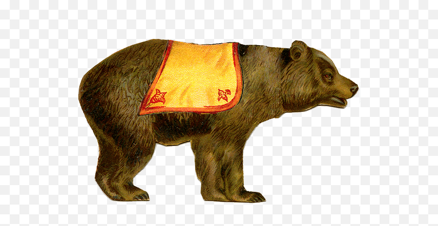 Circus Bear - Vintage Circus Animal Clipart Emoji,Bear Transparent Background