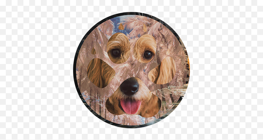 Shannonlynnesullivan Dog Training - Hound Emoji,Dogs Png