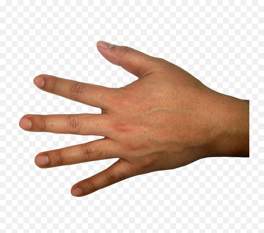 Png Image - Hand Back Png Emoji,Hands Png