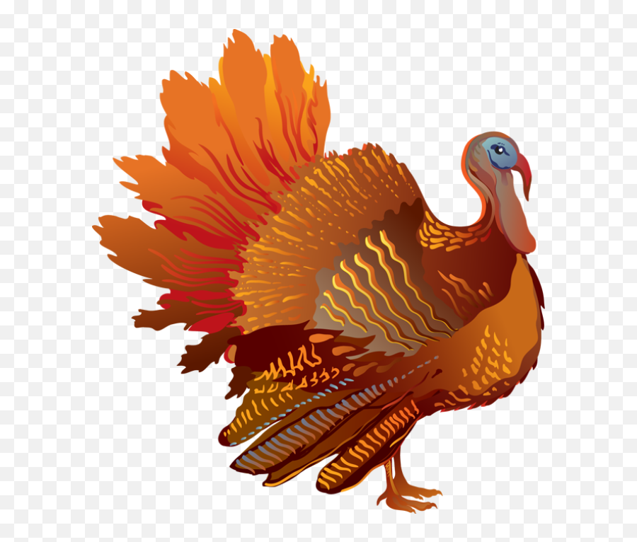 Thanksgiving Turkey Png Files - Transparent Background Turkey Png Emoji,Thanksgiving Turkey Clipart