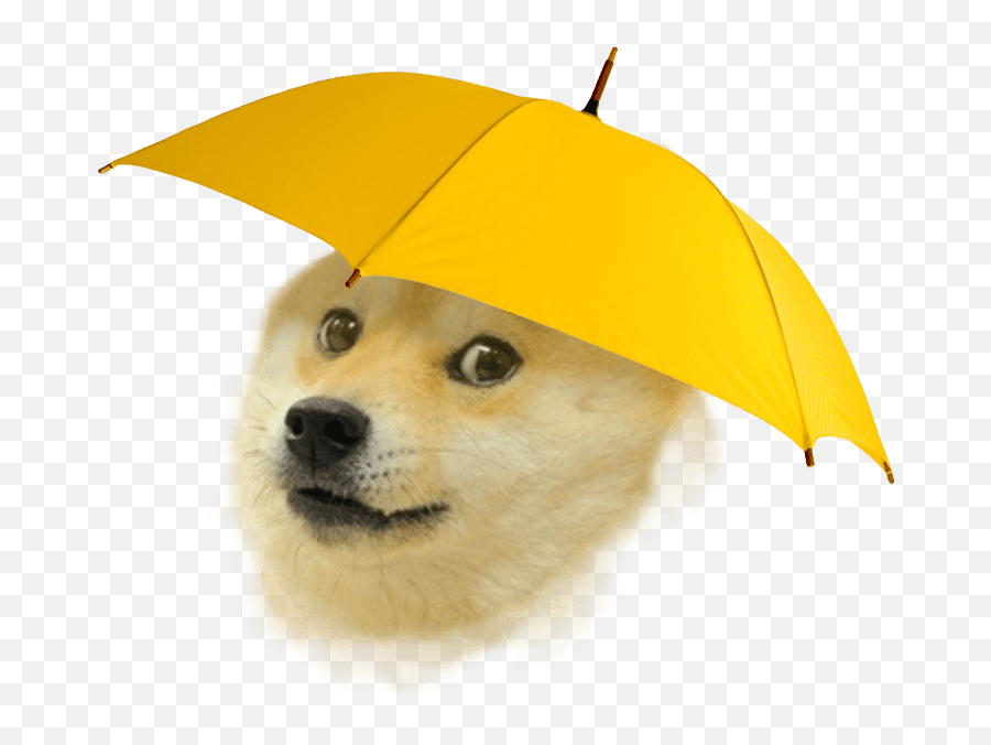 Download Hd Rain Doge Transparent Png Image - Nicepngcom Dont Caredidnt Ask Emoji,Doge Png