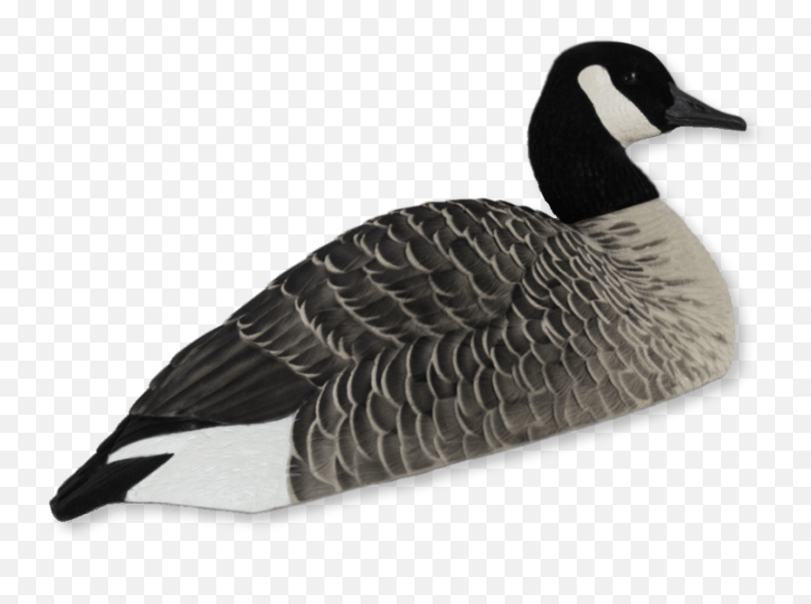 Goose Decoys - Marketu0027s Finest Available Now Lucky Hunter Emoji,Goose Clipart Black And White