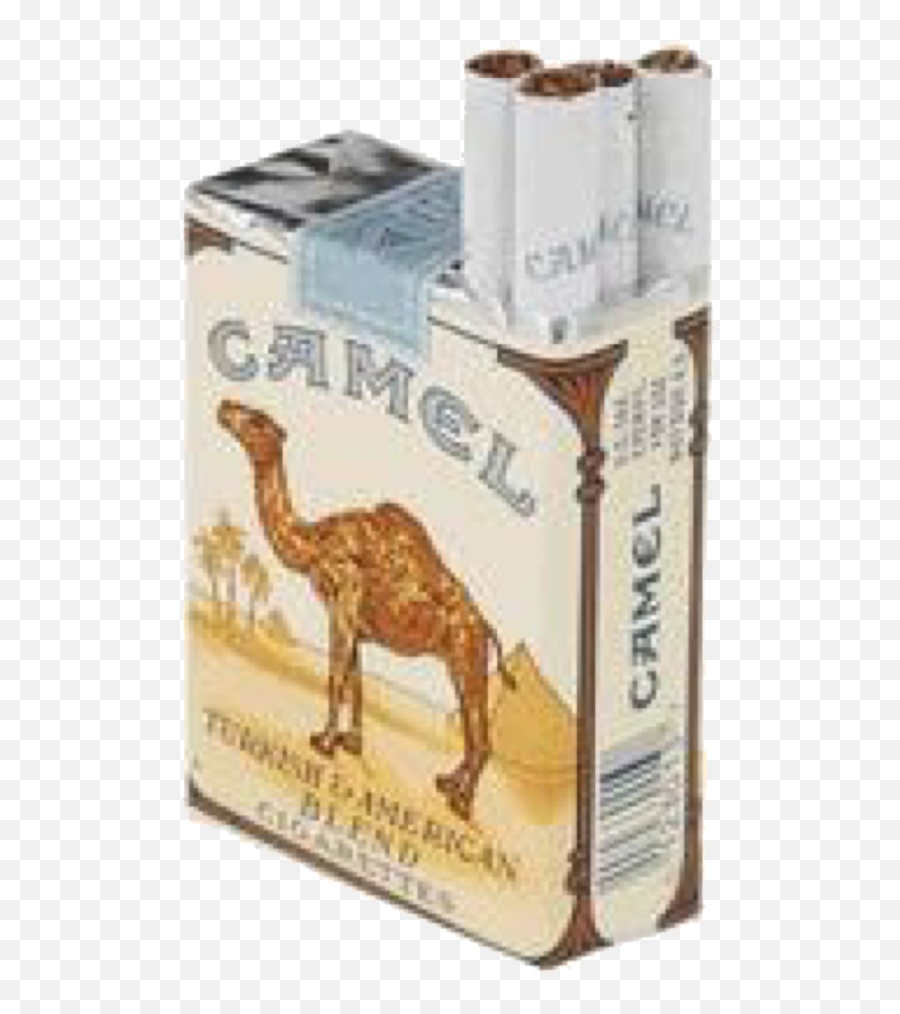 Top Down Camel Png Peepsburgh Emoji,Camel Transparent Background