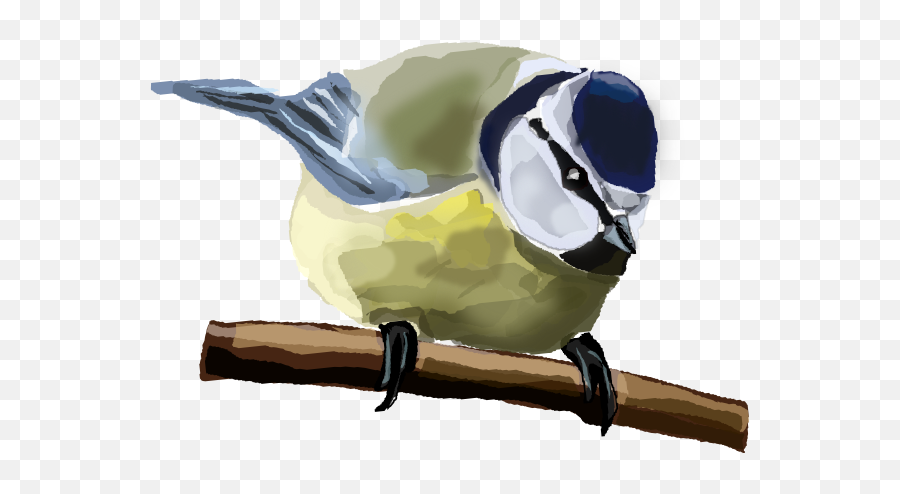 Blue Tit Clip Art At Clkercom - Vector Clip Art Online Emoji,Mockingbird Clipart