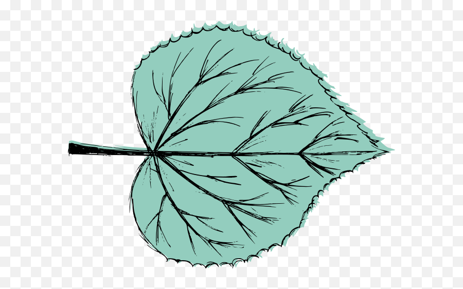 Leaf Drawing Vector Eps Svg Png Transparent Onlygfxcom - Leaf Drawing Png Emoji,Leaf Transparent