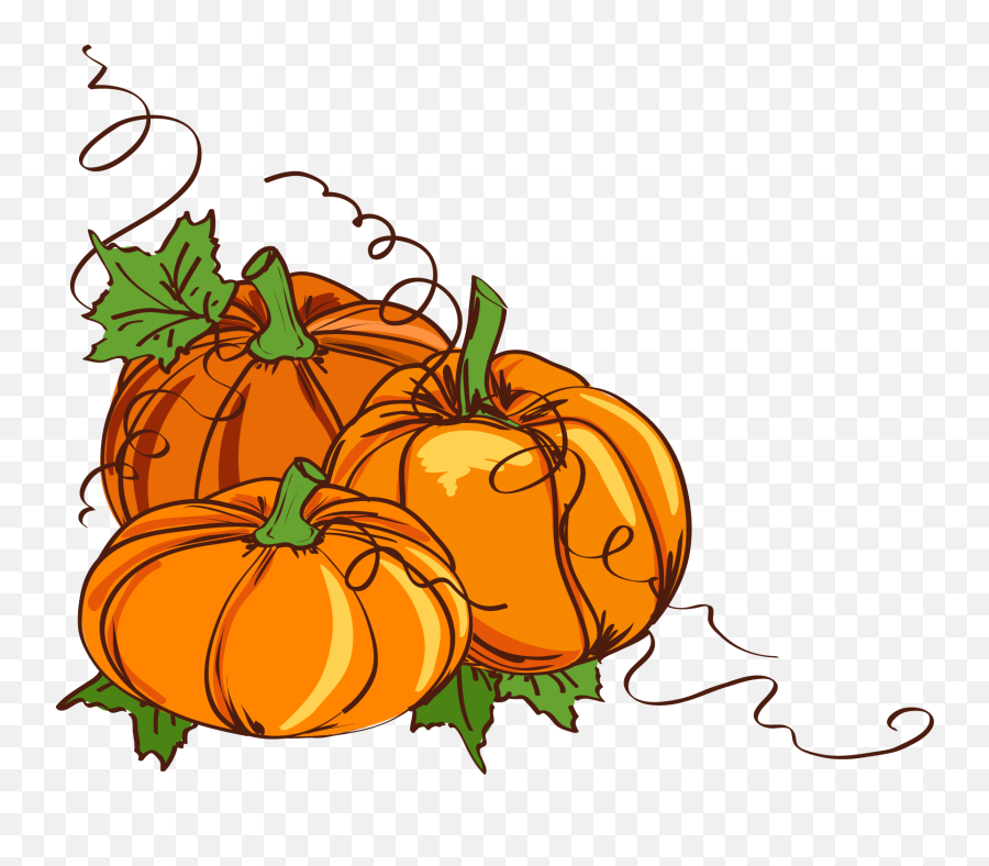 Patterned Pumpkin Jpg Library Png Files - Clip Art Thanksgiving Pumpkins Emoji,Pumpkin Clipart