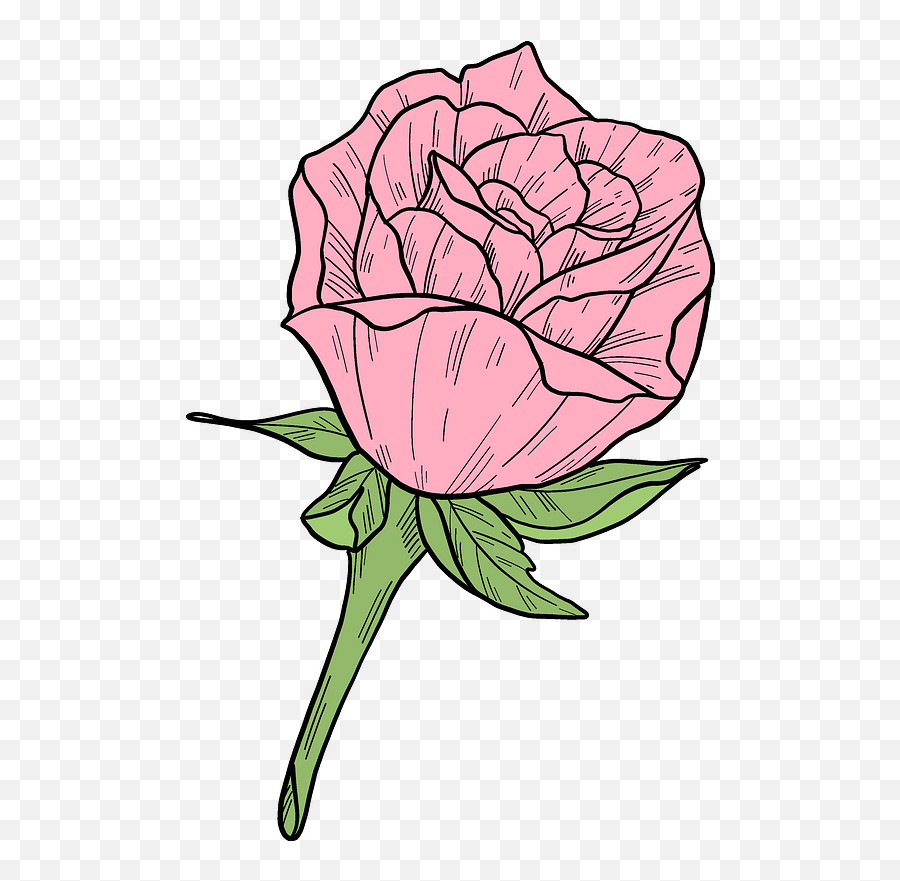Pink Rose Clipart Free Download Transparent Png Creazilla - Floral Emoji,Pink Rose Clipart