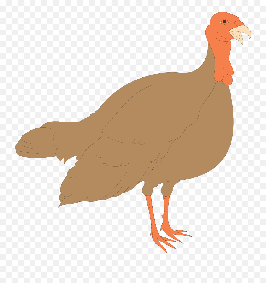 Thanksgiving Clipart Silhouette - Female Hen Turkey Clipart Emoji,Thanksgiving Turkey Clipart