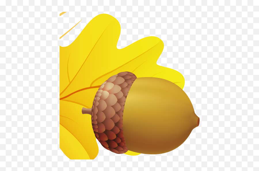Vector Acorn Png Clipart Png Mart - Acorn Emoji,Acorn Clipart