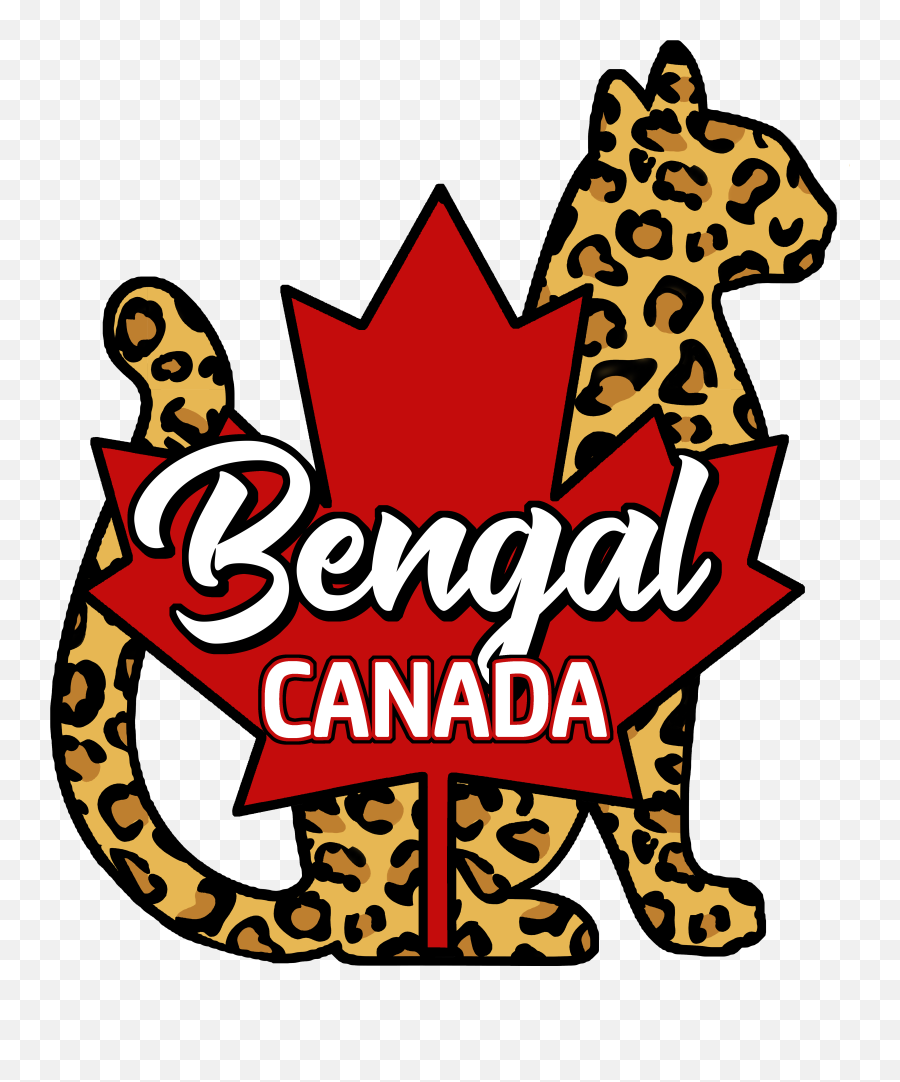 La Race Bengal Canada Emoji,Bengals B Logo