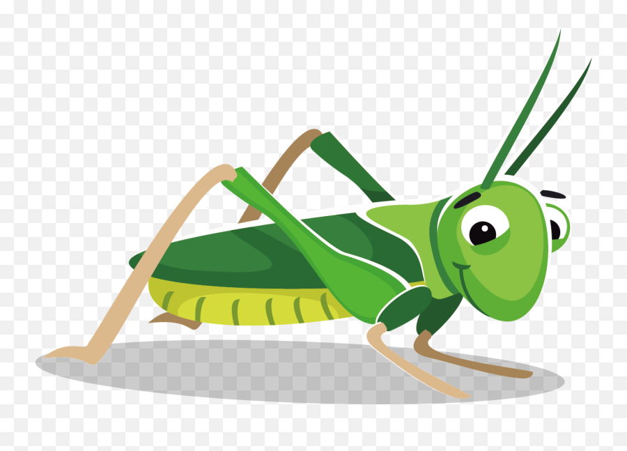 Picture - Clip Art Cricket Insect Png Emoji,Cricket Clipart