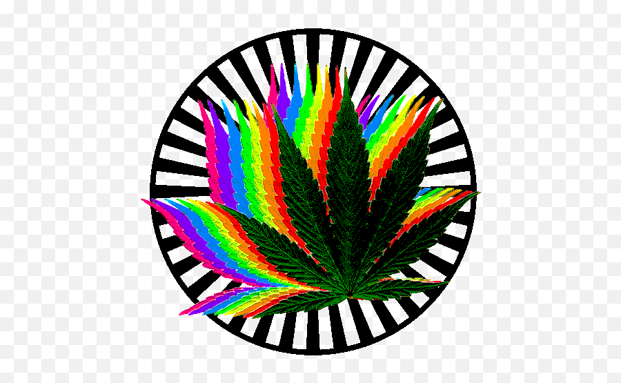 25 Weed Marijuana Animated Gif - Transparent Trippy Weed Gif Emoji,Marijuana Clipart