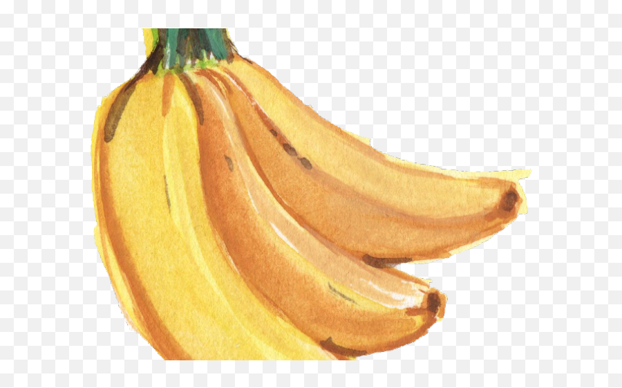 Download Banana Png Transparent Images - Watercolor Banana Watercolor Banana Png Emoji,Banana Transparent