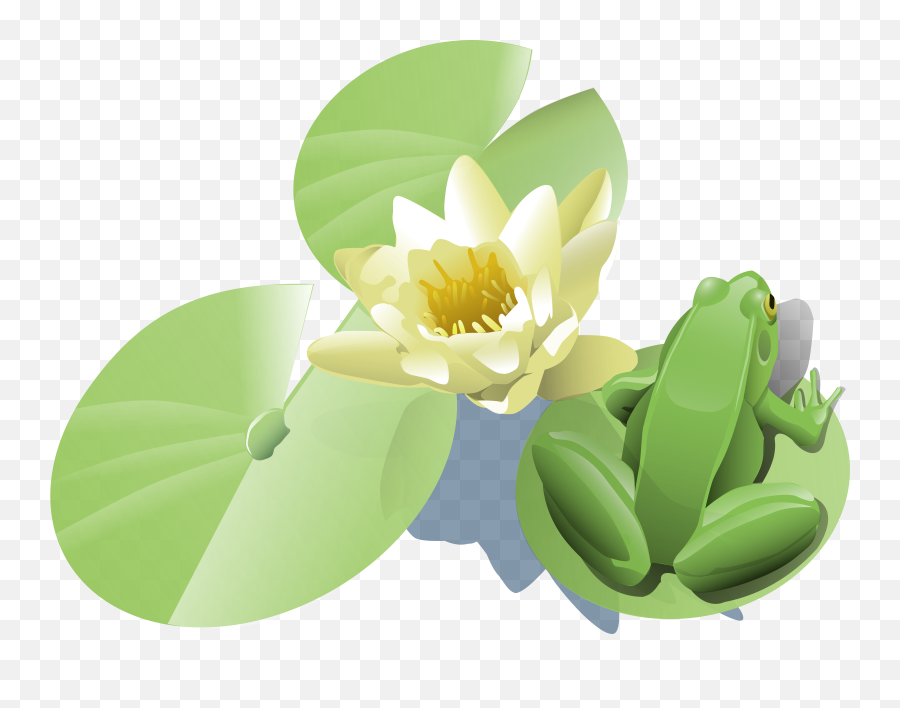 Over 100 Free Lotus Vectors - Pixabay Pixabay Frogs Flower Clip Art Emoji,Lotus Flower Clipart