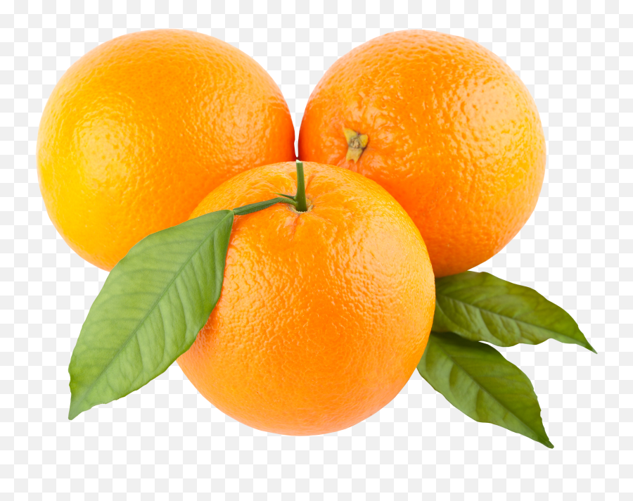 Orange Image Free Download Clipart 3 - Orange Png Emoji,Orange Clipart