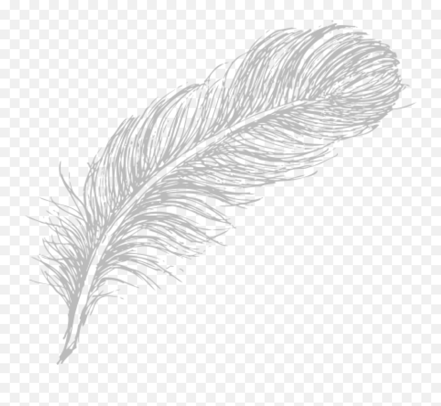 Download Free Png Download Feather Drawing Png Images - White Feather Drawing Png Emoji,Feathers Png