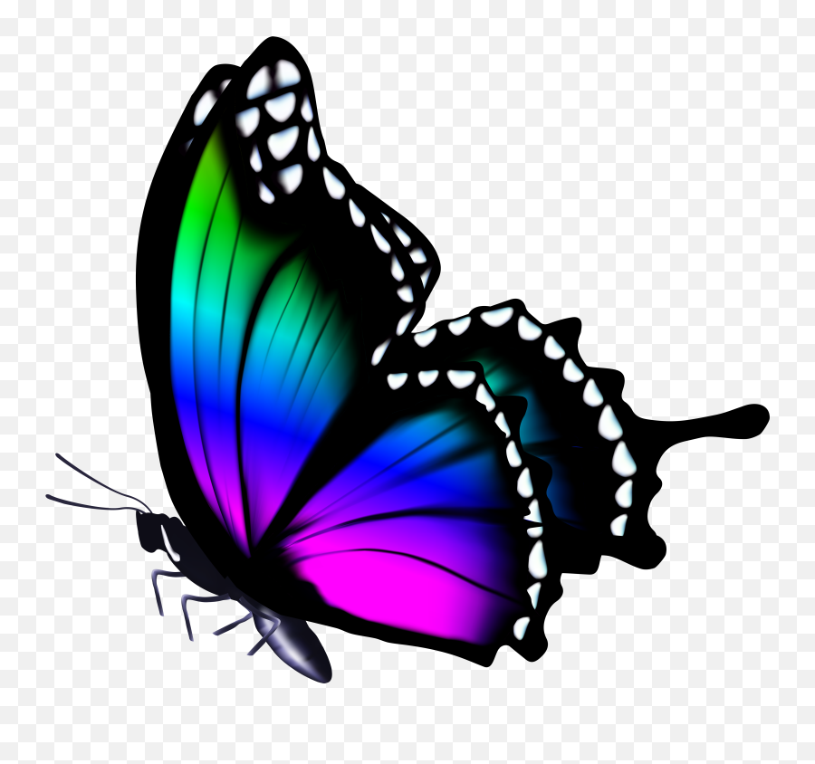 Colorful Butterfly Png Clip Art Image - Colorful Butterfly Png Transparent Emoji,Butterfly Png