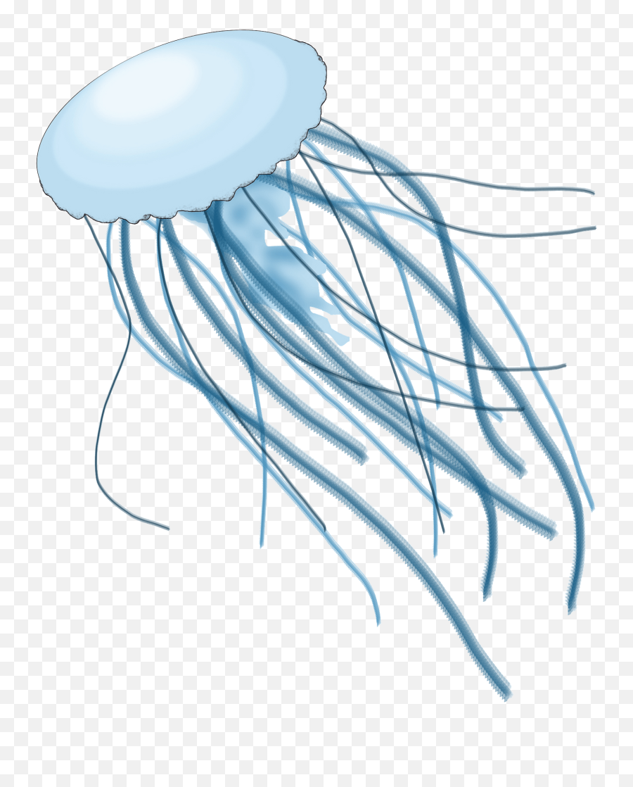 Jellyfish Clipart Free Download Transparent Png Creazilla - Undersea Emoji,Jellyfish Clipart