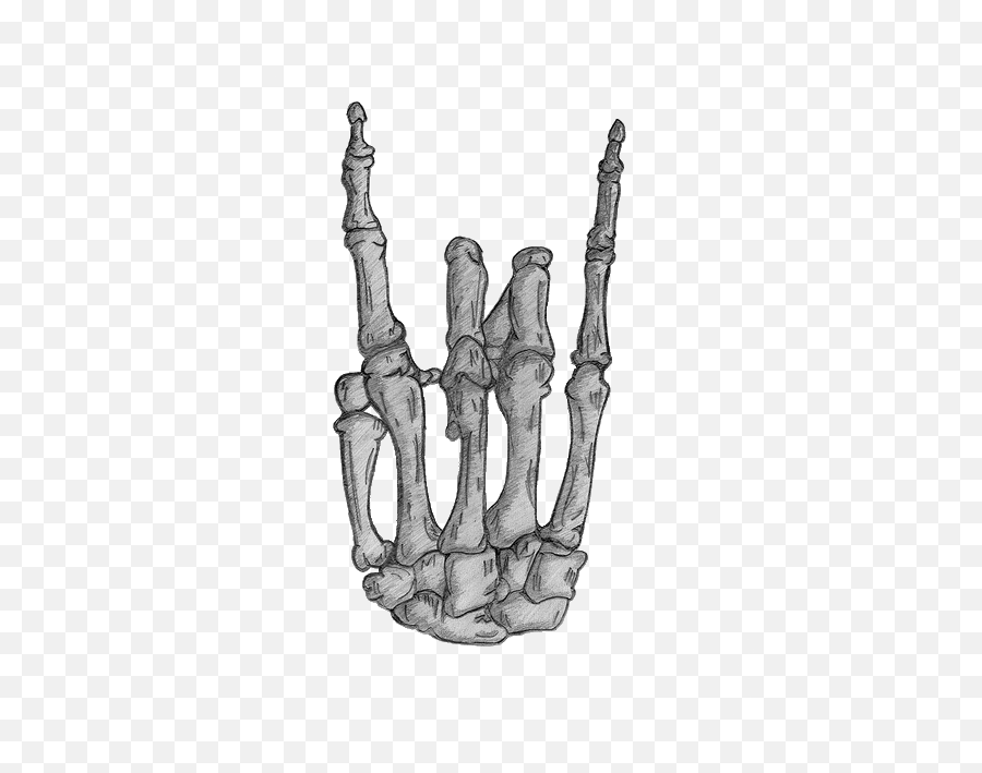 484 X 640 3 - Skeleton Rock Hand Png Emoji,Skeleton Hand Png