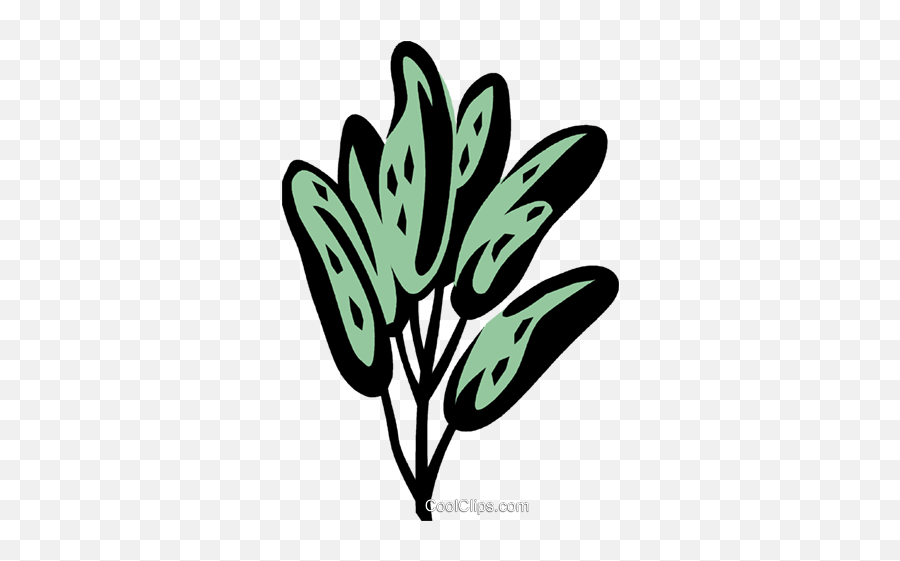 Sage Royalty Free Vector Clip Art Emoji,Sage Clipart