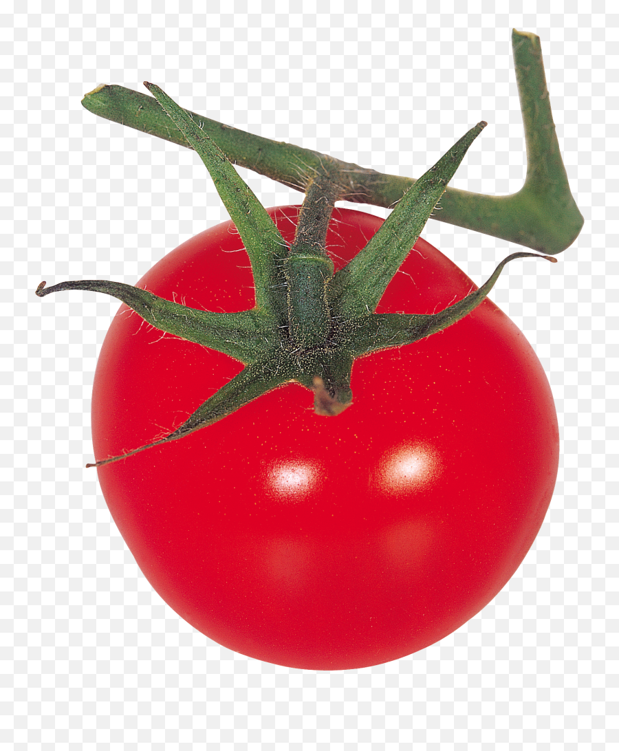 Tomato Png - Tomato Emoji,Tomato Clipart
