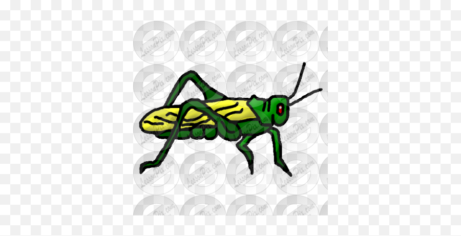 Grasshopper Picture For Classroom - Parasitism Emoji,Grasshopper Clipart