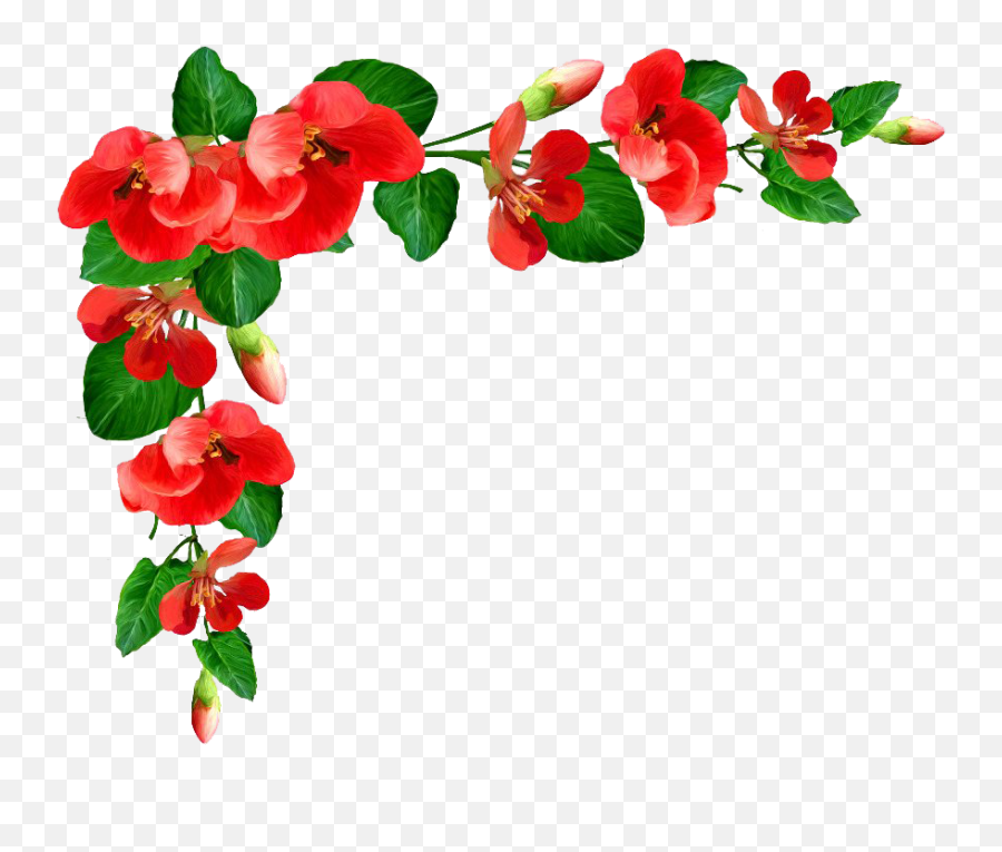 Poppy Flower Frame Png Picture - Bordure Fleur Png Clipart Fleur Png Emoji,Poppy Flower Clipart