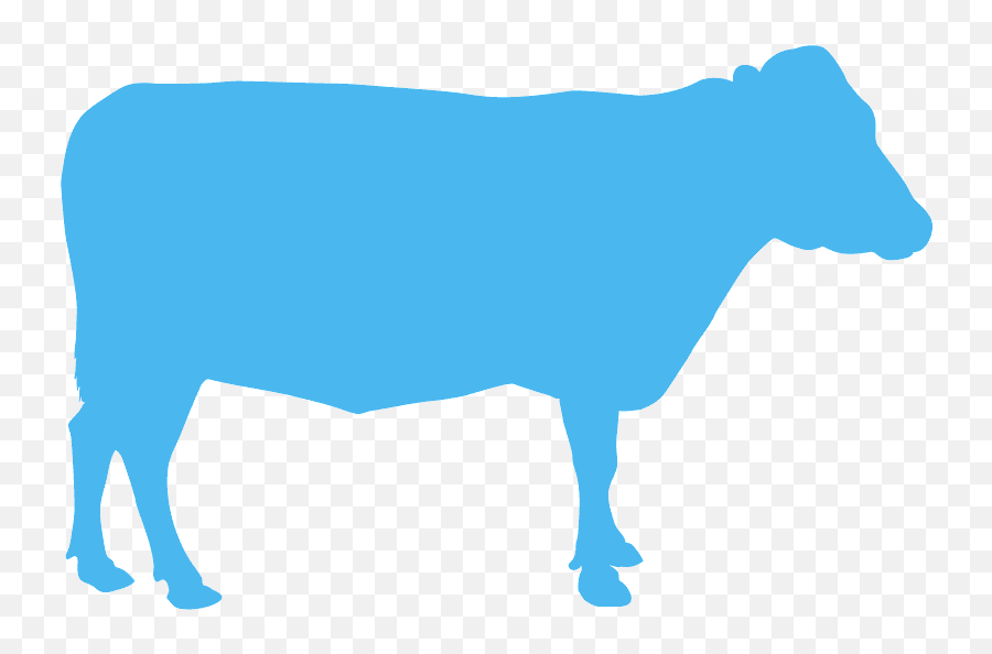 Transparent Cow Head Clip Art - Cattle Png Download Full Cow Blue Png Emoji,Cattle Clipart