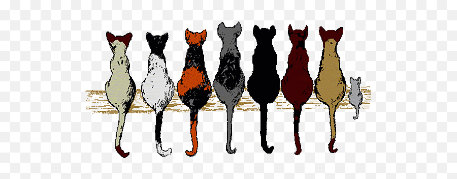 Cat Clip Art - Assimilation Accomodation Equilibration And Disequilibrium Emoji,Cat Tail Clipart