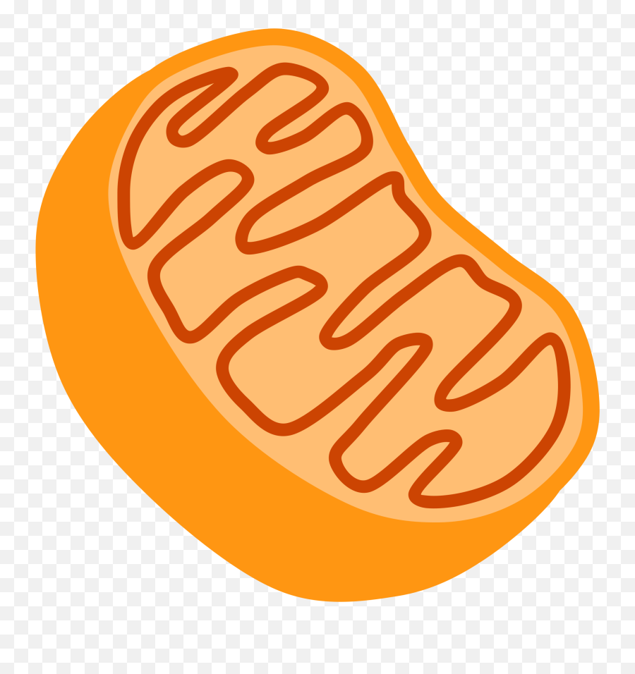 Two Types Of Earthquake - Clip Art Library Mitochondria Clipart Emoji,Earthquake Clipart