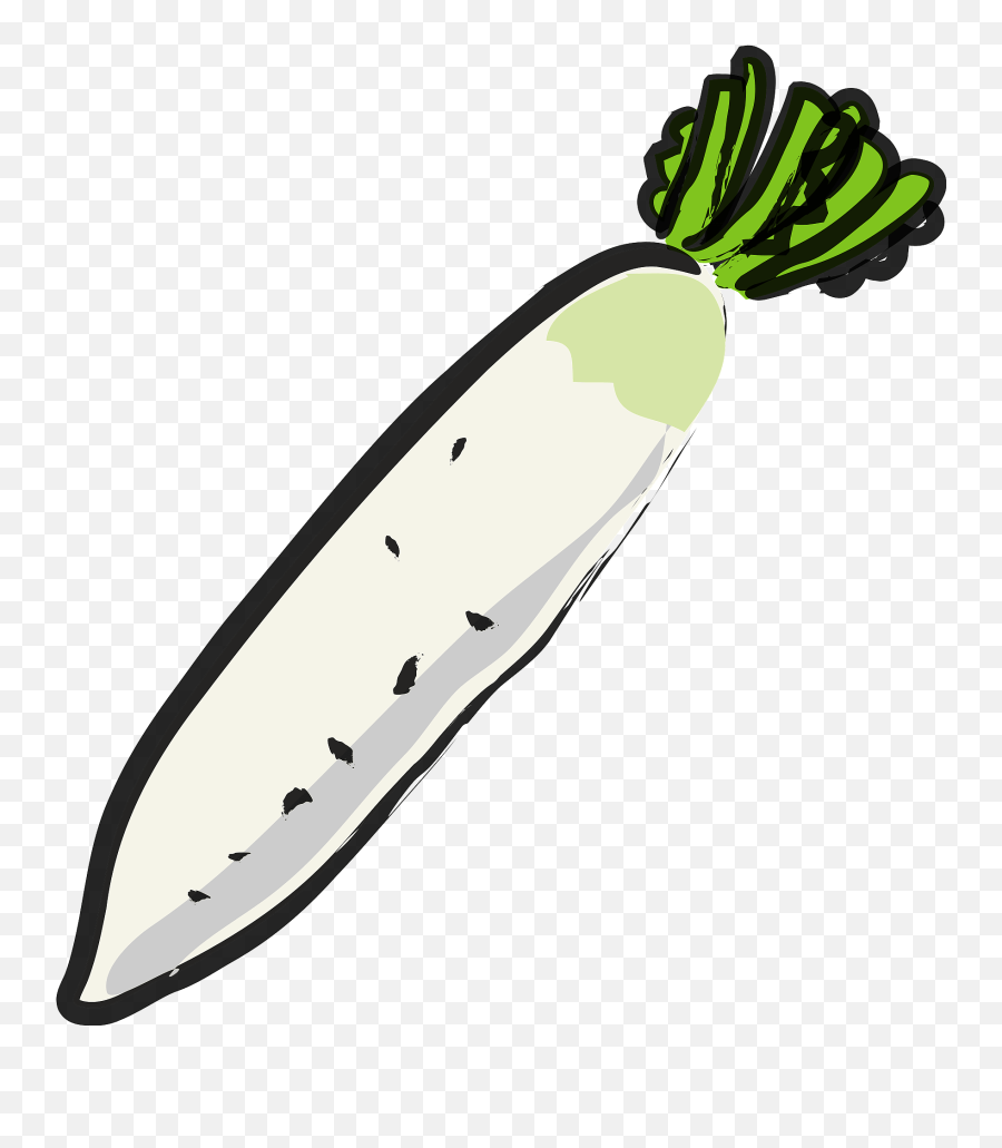 Daikon - Root Vegetable Clipart Free Download Transparent Carrot Emoji,Vegetable Clipart