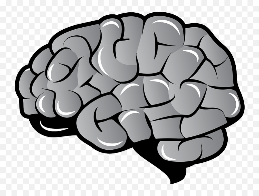 Brain Clipart Free Download Transparent Png Creazilla - Brain Clipart Emoji,Brain Clipart Png