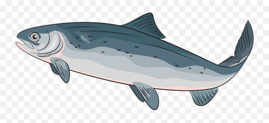 Free Clip Art - Atlantic Salmon Clipart Emoji,Salmon Clipart