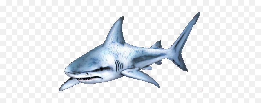 Download Shark Transparent Hq Png Image - Shark Png Transparent Emoji,Shark Transparent Background