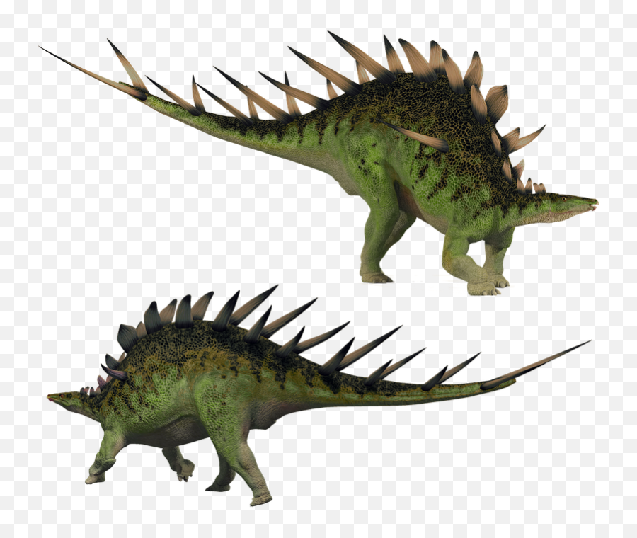 Stegosaurus Kentrosaurus Stegosaur - Free Image On Pixabay Emoji,Stegosaurus Png