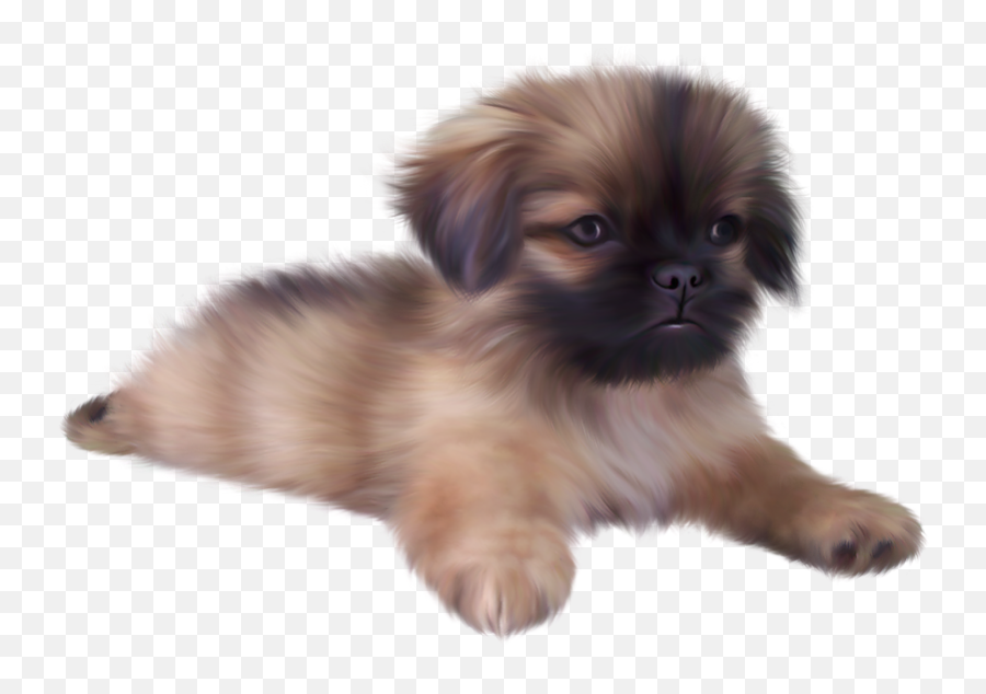 Dog Baby Doge Png - Cute Png Transparent Background Puppy Emoji,Doge Png