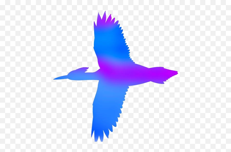 Transparent Colorful Bird Flying Transparent Clipart Emoji,Bird Flying Transparent