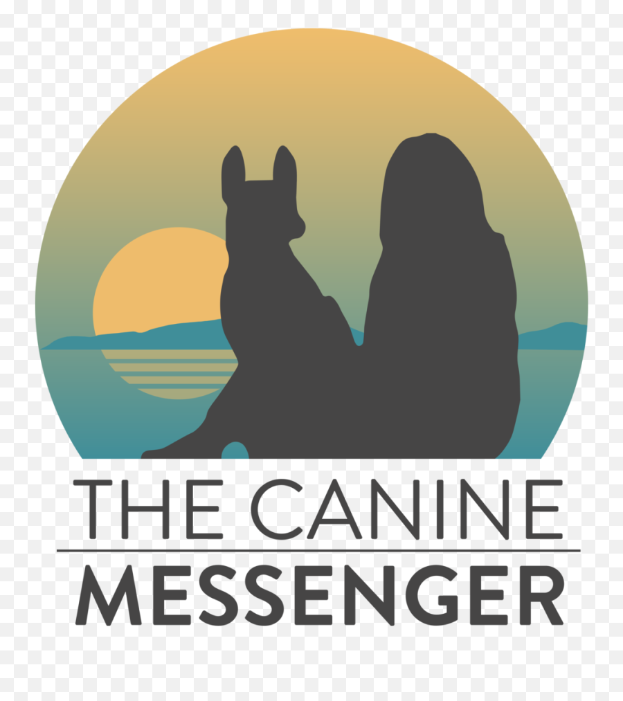 Download Hd Messenger Logo Png Transparent Png Image - Healthcare Emoji,Messenger Logo