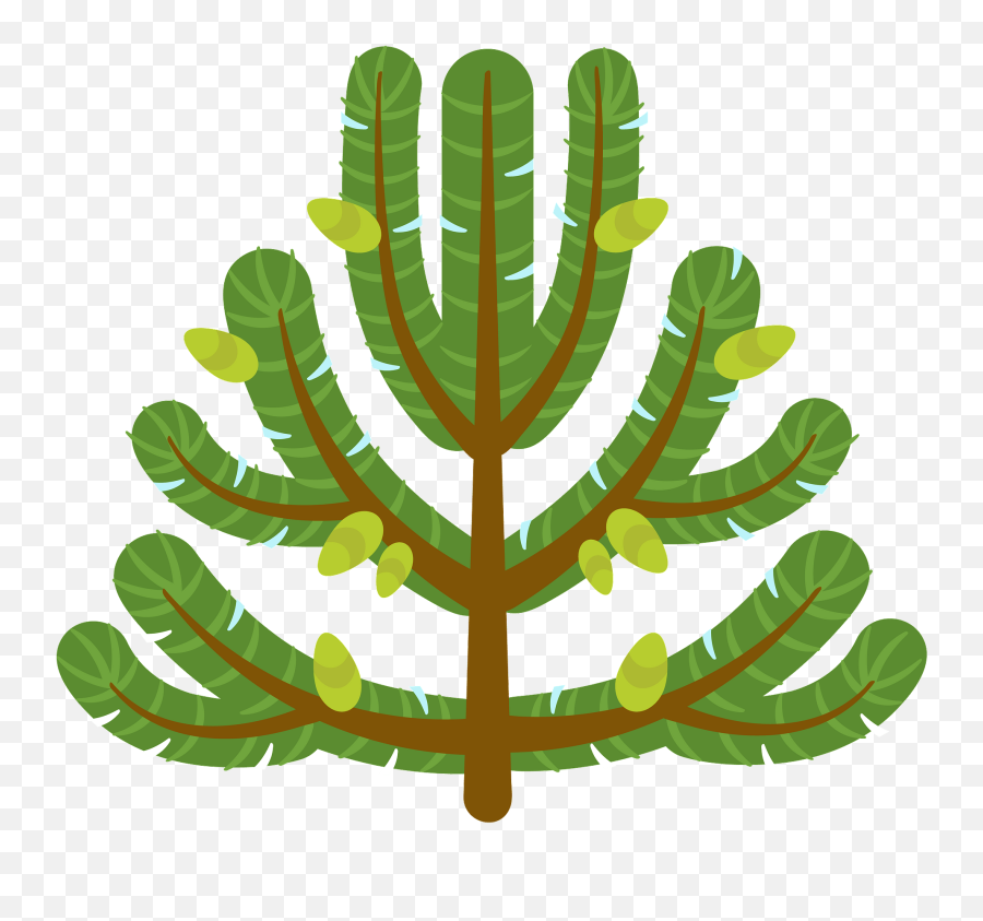 Pine Tree Clipart Free Download Transparent Png Creazilla - Art Emoji,Pine Tree Clipart