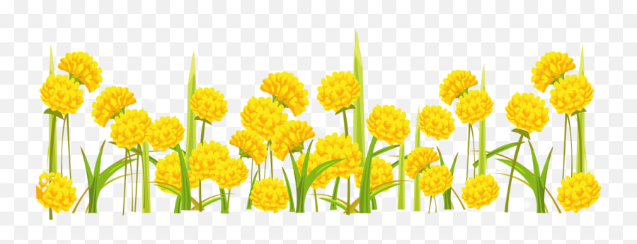 Download Free Png Dandelion Png Images Transparent - Yellow Flowers Bakcground Png Emoji,Flower Clipart Transparent